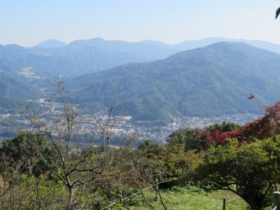 久しぶりの宝登山ハイキング②宝登山山頂&#12316;ロープウエイ地上駅&#12316;長瀞駅&#12316;波久礼まで