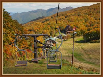 ロープウェイとリフトで、紅葉の空中散歩・・・爽やかな１日でした～～！　★山形蔵王★蔵王中央ロープウェイ＆蔵王ロープウェイ★