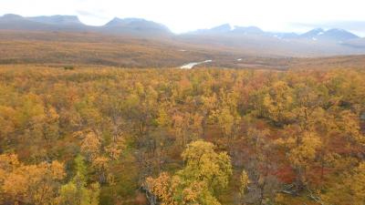 標高1169ｍのニューラ山からアビスコの紅葉・黄葉を見下ろす