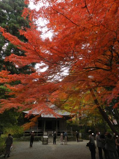 平泉・中尊寺の紅葉が見頃でした～♪（前半）◆2015年11月／岩手県の紅葉＆滝めぐりの旅≪その７≫