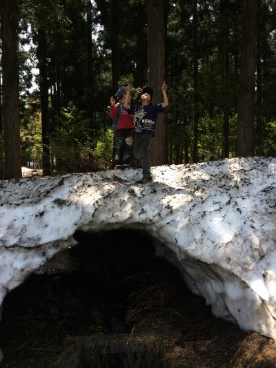 東京から日本海経由の大阪行き　前編: 越後平野へ