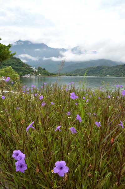 ２０１６年 中秋節の台湾一周ぐるり旅　- 2/4