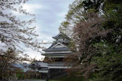 置賜桜回廊