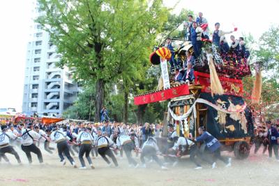 秋晴れの１日　紙吹雪舞う拳母（ころも）神社の山車、とってもexciting！♪　その2