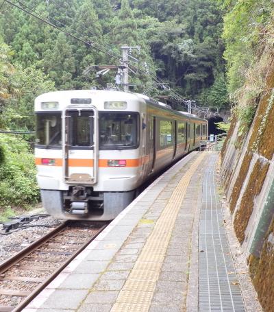 2016年8月　飯田線秘境駅へ　（2日目-1）～まずは中井侍駅