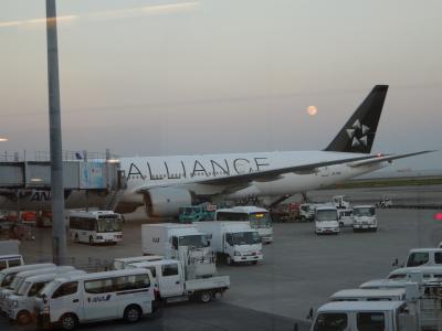 シドニー◆vol.1 ~1日目伊丹空港から羽田空港まで~