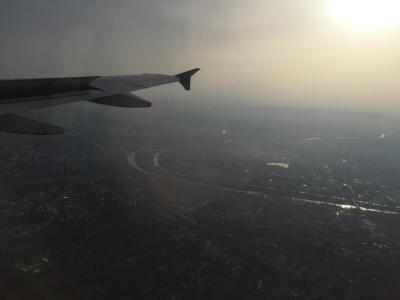 海外でライブを楽しむ＋アルザス、パリ、ロンドンの旅