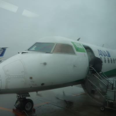 DHC-Q400 に乗りました。ANA1837便，中部から秋田への便。雨で揺れました。