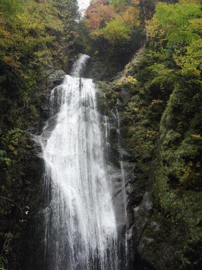 抱返り渓谷（だきかえりけいこく）では回顧の滝まで紅葉を楽しむ。ちょっとした散歩道。