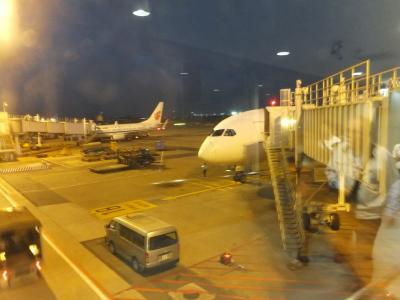 2016 ACL遠征でベトナムへ【その１】羽田空港から深夜便でホーチミンへ