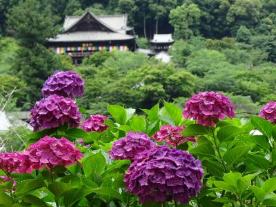中年夫婦　梅雨の大和路　ぐるっとバスの巻　③