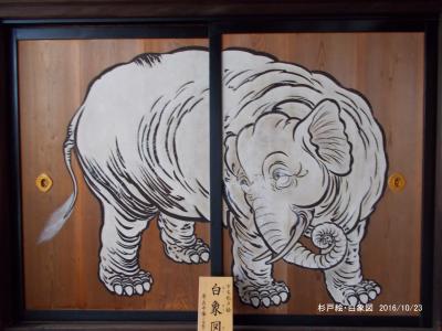 生誕３００年記念「若冲の真実」を京都で周遊！
