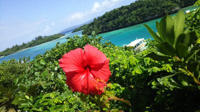 石垣島 旅行記①