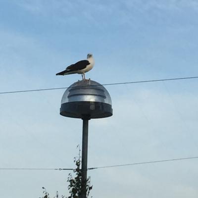 はじめてのヨーロッパ、はじめての北欧～フィンランド・観光あれこれ編その２～