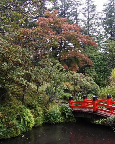 箱根の紅葉はまだまだ先（10月25日）