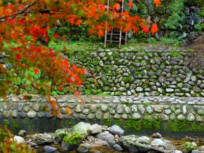 室生寺～奈良「室生の里」にも秋の気配が