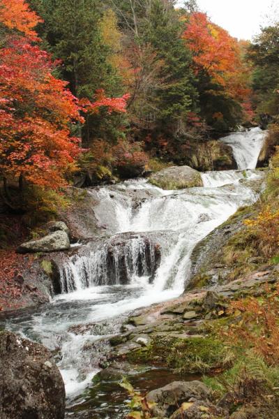 紅葉も最高潮　豪快な滝に魅せられて横谷峡、明治温泉でまったり、人気の御射鹿池♪