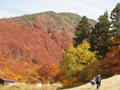 山は紅いが、まだ夢醒めやらん　 　一、 夢のはじまり