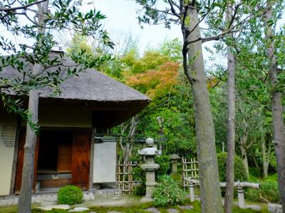 京都の秋は非公開文化財特別公開から　そして夜は・・・！2016年