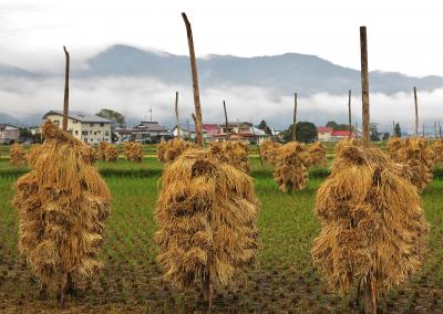 晩秋の東北巡り