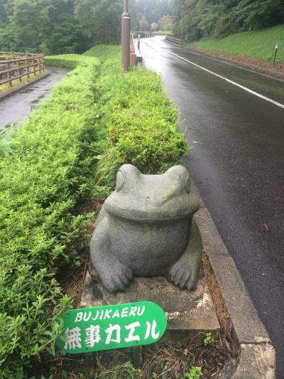 無事カエル　訓練所に卒業以来のお参り