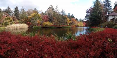 主に旧軽井沢のグルメ、紅葉、東京からの道、県道②