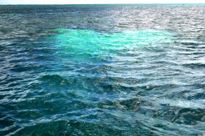 2016 The end of the summer holiday5