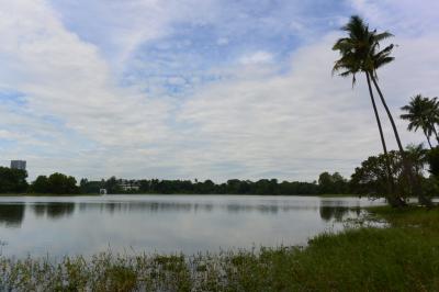 乾季のヤンゴンをぶらぶら　１１月