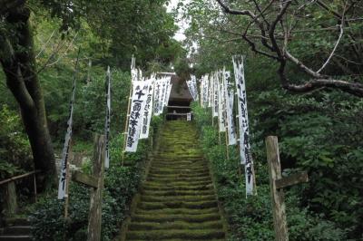 161029鎌倉散歩～杉本寺、覚園寺、大仏、鶴岡八幡宮～