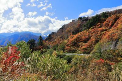 ～紅葉ドライブ～白山白川郷ホワイトロード