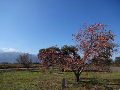 秋の長野　2016☆