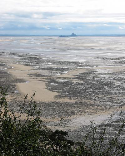 フランスの旅 (番外編4) フランスの観光地&観光ルート (ベスト50選) オマケは子猫の成長写真。