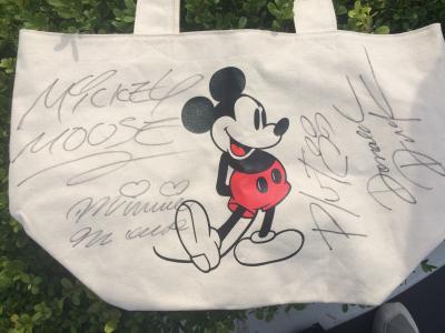 ミッキー、ミニー、プルートに逢いたい!男1人は目立つね!(千葉県)