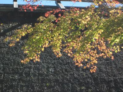 三州・足助　早秋の色づく香嵐渓から八丁味噌の里・岡崎へぶらぶら歩き旅－２