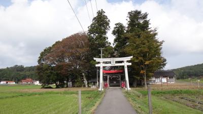 広島芸北八幡高原の大歳神社　かつての湿原の浮島に鎮座する八幡のシンボル