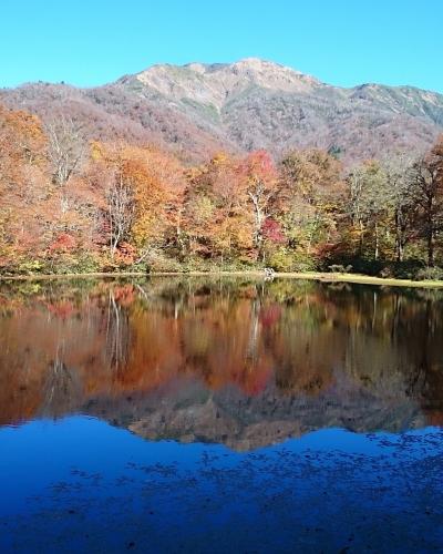 2016年 刈込池の紅葉情報