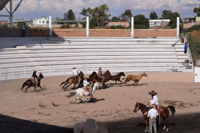 巡るMexico　Aguascalientes (Isla San marcos)　part2