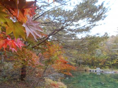 プライベート沼付きリゾートHOTELLI aalto&裏磐梯高原紅葉