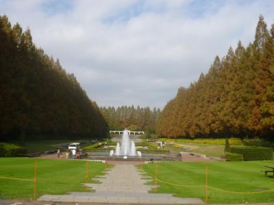 秋の相模原公園