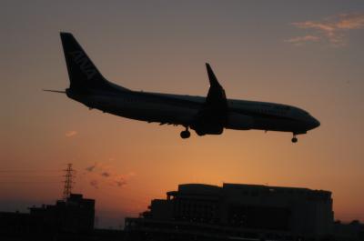 伊丹空港千里川土手での飛行機撮影　絶景の飛行機撮影ポイント堪能する