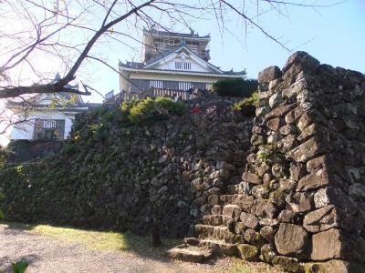 九頭竜紅葉まつりと越前大野城