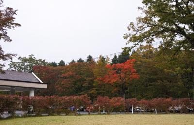 箱根の紅葉はまだまだ先（11月1日）