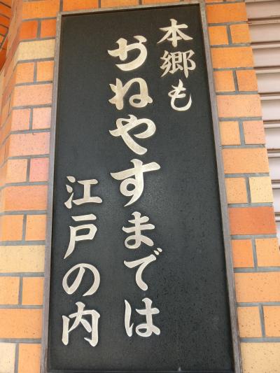 東京文学・歴史散歩４。本郷から湯島その１：本郷、菊坂、本妙寺坂界隈。