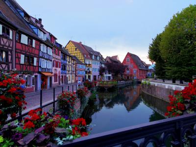 2016アルザス旅行4～やっとコルマール