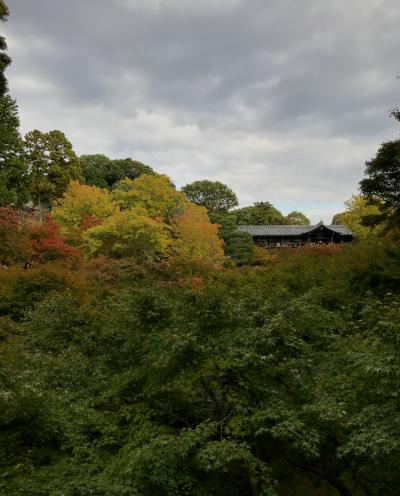 紅葉には少し早いけれど、静かな東福寺。