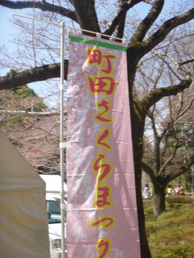 町田市の桜の風景