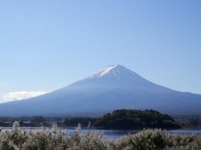 紅葉祭り