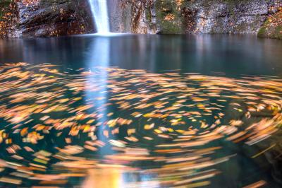 青い水をたたえた滝壺に落ち葉が踊る　～晩秋のおしらじの滝～