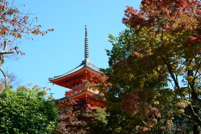 ぶらっと京都を撮影してくるね！2016年