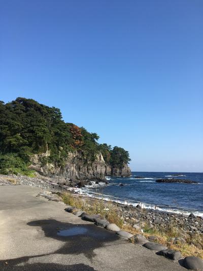 2016年11月 伊豆高原でプチ断食4泊5日 4日目は神社巡り